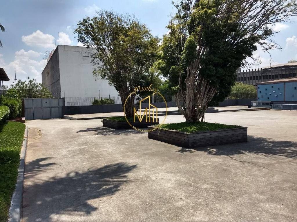 Terreno, 1 hectares - Foto 9