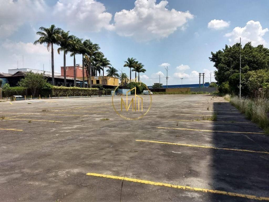 Terreno, 1 hectares - Foto 8