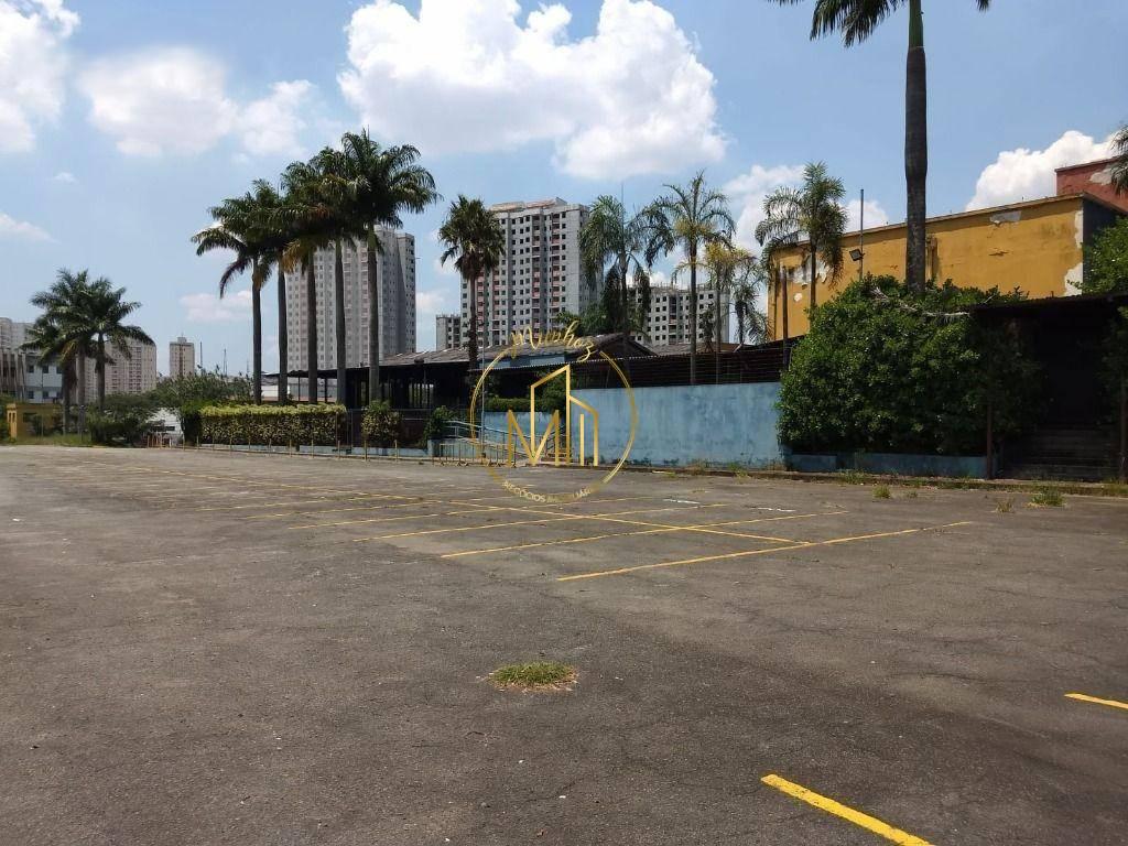 Terreno, 1 hectares - Foto 18