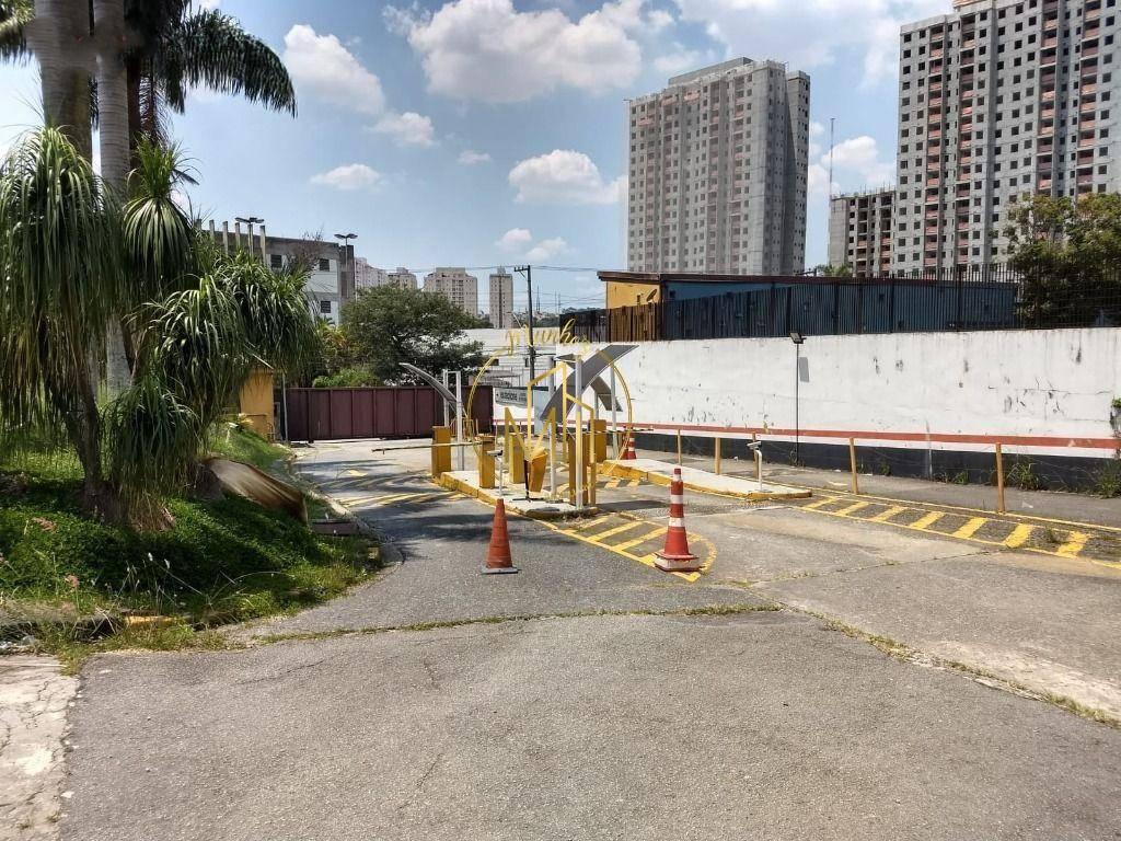 Terreno, 1 hectares - Foto 16