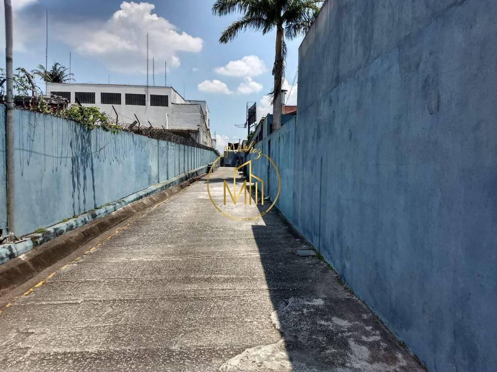 Terreno, 1 hectares - Foto 15