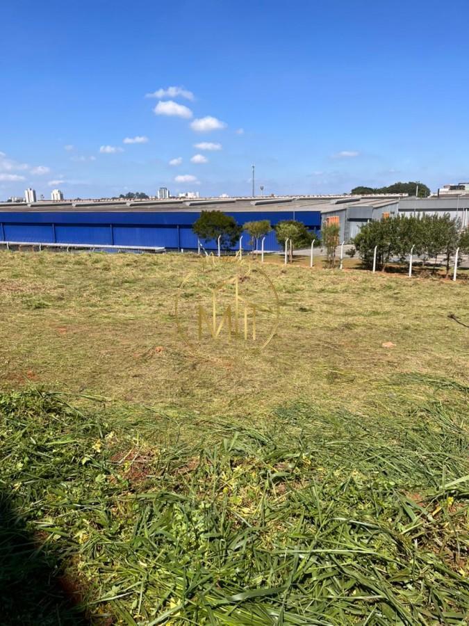 Terreno, 6560 m² - Foto 6