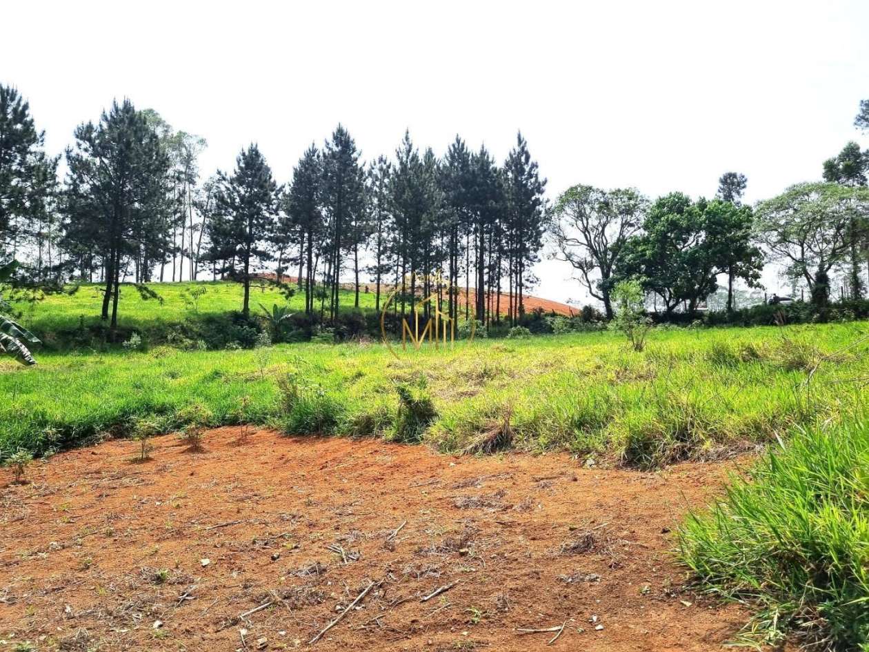 Terreno, 4 hectares - Foto 4